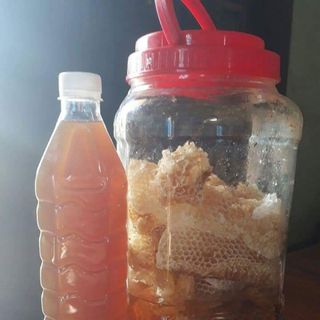 Mật ong nguyên chất chính vụ cf