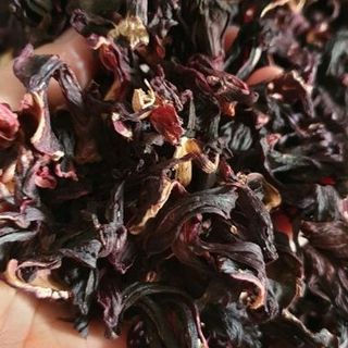 HIBISCUS - HOA ACTISO ĐỎ