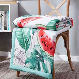 Chăn Đũi siêu mềm mịn size to 2-23