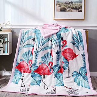 Chăn Đũi siêu mềm mịn size to 2-23