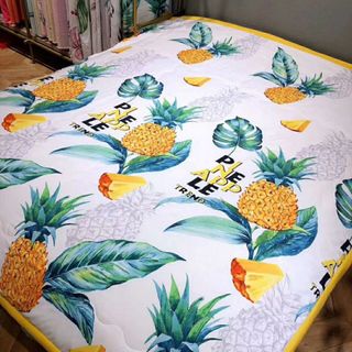 Chăn Đũi siêu mềm mịn size to 2-23