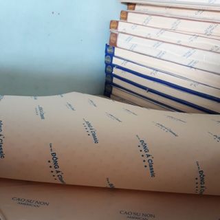 Nệm cap su non