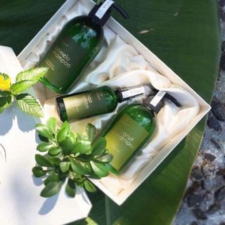 Combo dầu gội dầu xả bưởi tinh dầu bưởi trị rụng tóc trị hóitóc thưa