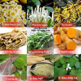 sỉ Mai Thảo Mộc nguyên chất