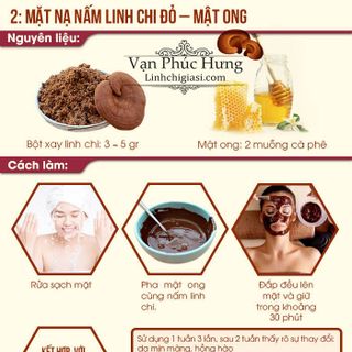 Bào từ nấm linh chi 100gram - Xích Chi
