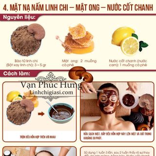 Bào từ nấm linh chi 100gram - Xích Chi