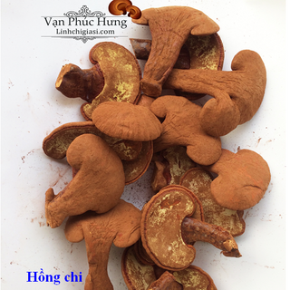 Nấm linh chi xay nhuyễn 250gram - Xích chi