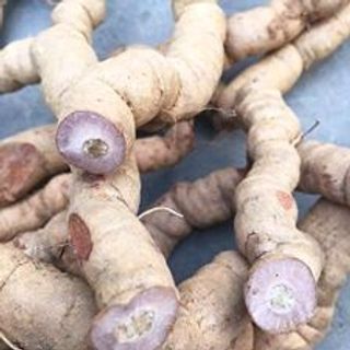 Ba Kích Tím Quảng Ninh - 1Kg