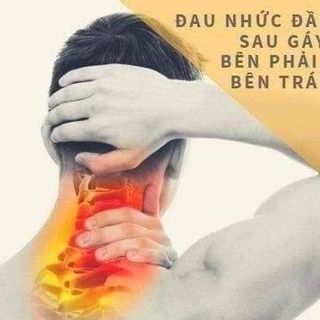 Cao thảo mộc trị đau khớp người già