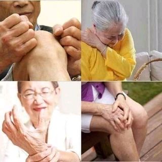 Cao thảo mộc trị đau khớp người già