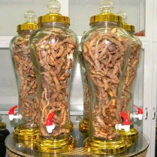 Ba Kích Tím Quảng Ninh - 1Kg