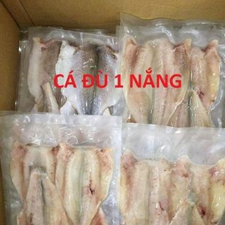 cá đù 1 nắng