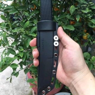 dao cắt gọt trái cây hàng janpant