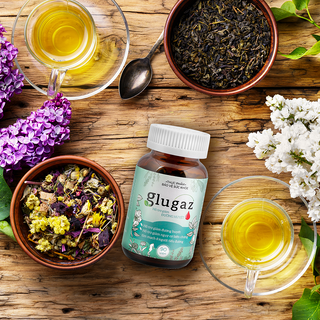 Viên Hạ Đường GLUGAZ