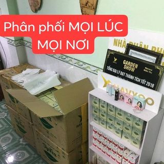 Trà giảm cân vytea