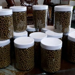 viên cà gai leo mật nhân