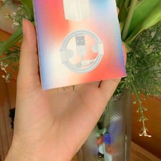 sạc iphone