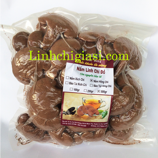 Nấm Hồng Chi 01kg - Cung cấp sỉ Hồng chi giá sỉ