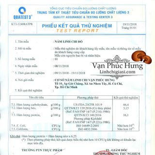 Nấm linh chi thái lát 01kg - Cung cấp sỉ nấm linh chi thái lát