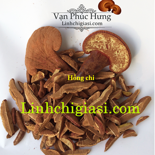 Nấm linh chi thái lát 01kg - Cung cấp sỉ nấm linh chi thái lát giá sỉ