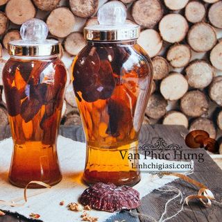 Cung cấp sỉ nấm linh chi - Loại Hồng Chi - Vanphuchung