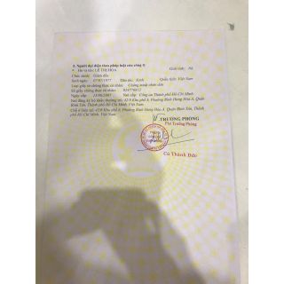 6 chai bạch hoa hồng