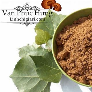 Bào tử nấm Hồng chi 100gr - Vanphuchung
