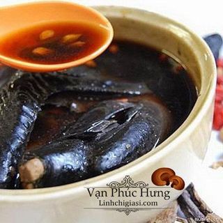 Bào tử nấm Hồng chi 100gr - Vanphuchung