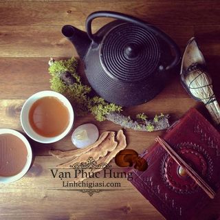 Cung cấp sỉ nấm linh chi 250gr - Xích chi - Vanphuchung