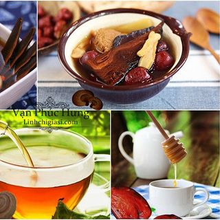 Cung cấp sỉ nấm linh chi 250gr - Xích chi - Vanphuchung