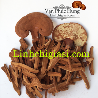 Nấm linh chi thái lát 250gr - Hồng Chi