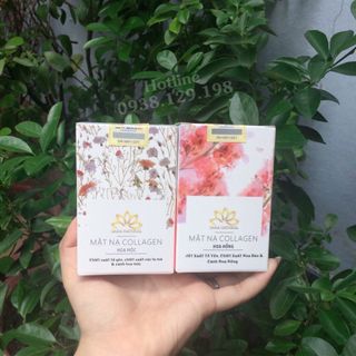 NẠ YẾN COLLAGEN CHUẨN 100