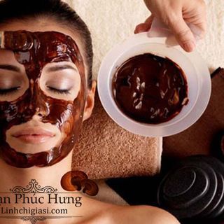 Bào tử nấm linh chi 100gr - Vanphuchung