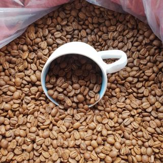 Cafe Robusta Nguyên Chất Hạt/Bột