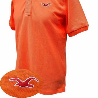 Áo thun hollisters - Vải 2 chiều