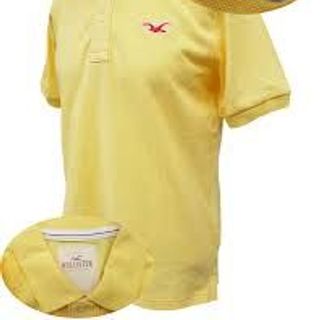 Áo thun hollisters - Vải 2 chiều