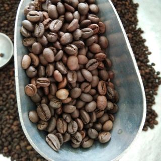 Cafe Hạt Arabica Cầu Đất Nguyên Chất