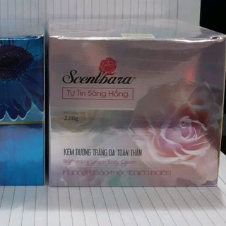 kem body scenbara 300g 115k