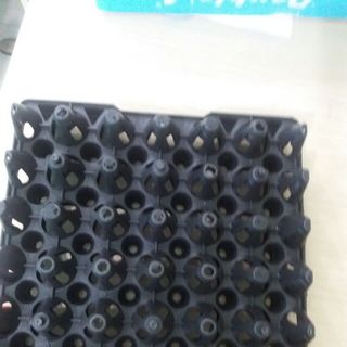 Bán sỉ vỉ nhựa đựng trứng Phú Hòa An giá tốt