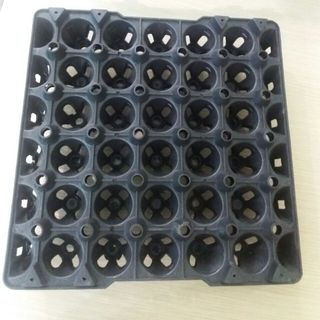Bán sỉ vỉ nhựa đựng trứng Phú Hòa An giá tốt