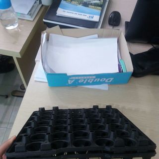 Bán sỉ vỉ nhựa đựng trứng Phú Hòa An giá tốt