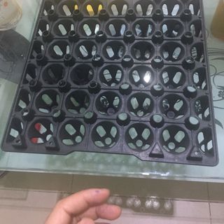 Bán sỉ vỉ nhựa đựng trứng Phú Hòa An giá tốt