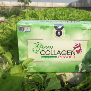Diệp Lục Collagen Hàng Chuẩn Có Tem
