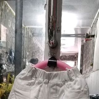 ngố lửng kaki giãn