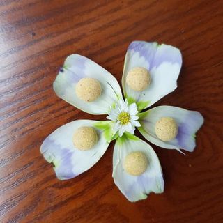 NHẬN GIA CÔNG VIÊN ĐẶT PHỤ KHOA
