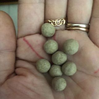 NHẬN GIA CÔNG VIÊN ĐẶT PHỤ KHOA