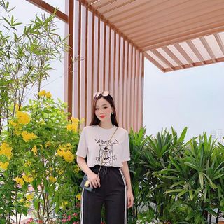 SET ÁO PULL SỌC LƯNG CAO