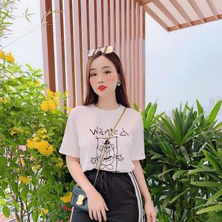SET ÁO PULL SỌC LƯNG CAO