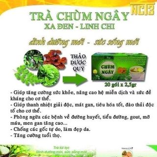TRÀ CHÙM NGÂY XẠ ĐEN LINH CHI