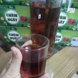 TRÀ CHÙM NGÂY XẠ ĐEN LINH CHI